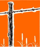 Temporary fencing
