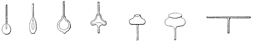 Evolution of a Sheet of Crown-Glass