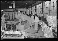 Lewis Hine: making glass wool Lewis Hine: making glass wool