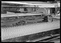 Lewis Hine: machine-blown bottles on a conveyor belt Lewis Hine: machine-blown bottles on a conveyor belt