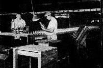 Inspecting finished bottles at Whitall Tatum