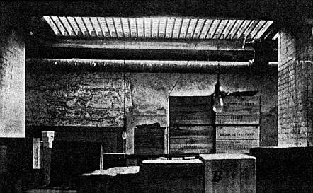 St. Louis basement (Bruner System)