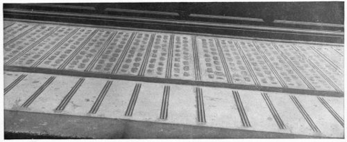 Mason Safety Tread Strips between Vault Light Lenses