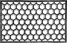 Hexagonal Roof Light