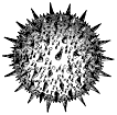 Spikey Invertebrate